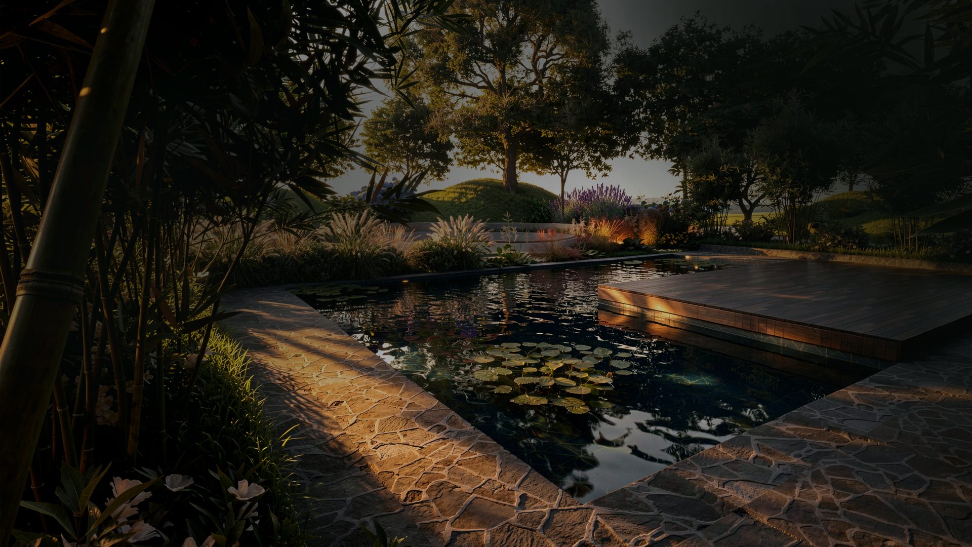 Lily pond and timber deck at dusk